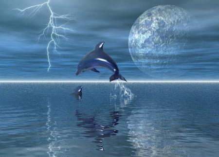 mes dauphins